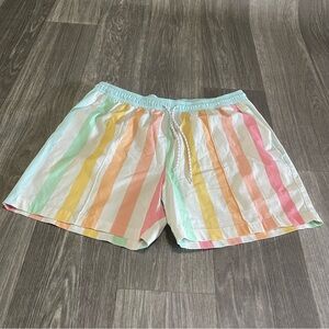 Chubbies Striped Swim Shorts